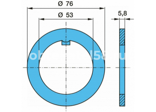 Шайба ступицы BPW ECO 10-12т 53/76х5,8 он 0332064010 MANSONS LW115