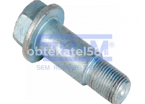 Болт крепления суппорта M18x1.5x55мм SAF он 04375100810 SEM Lastik 16193
