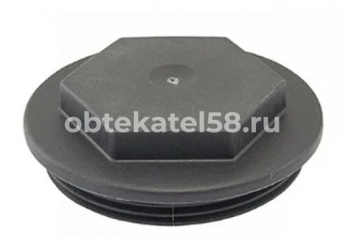 Крышка шкворня RENAULT/VOLVO он 20740390 AUGER 80701